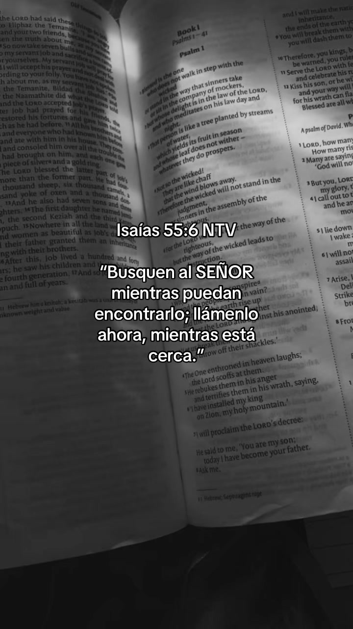 @Amando a Jes&uacute;s