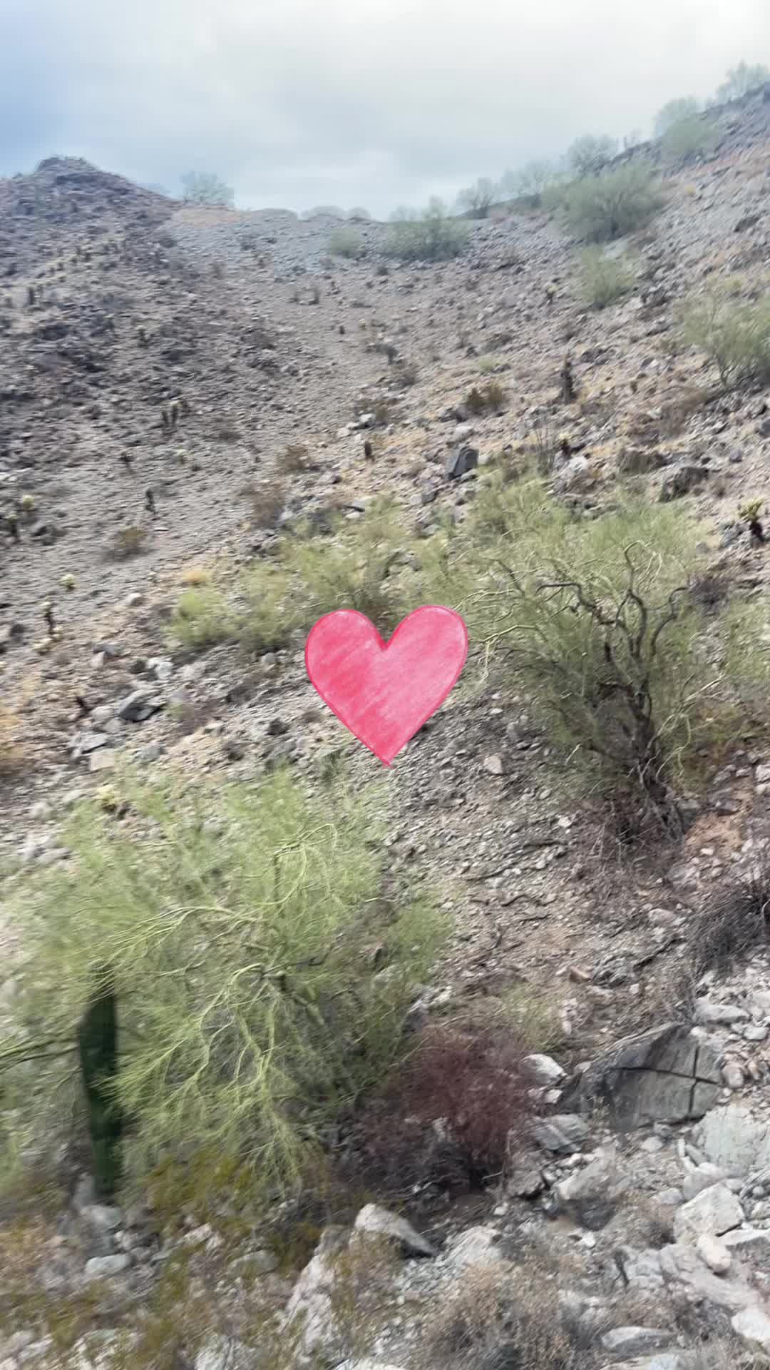 @alejandrinajimen17