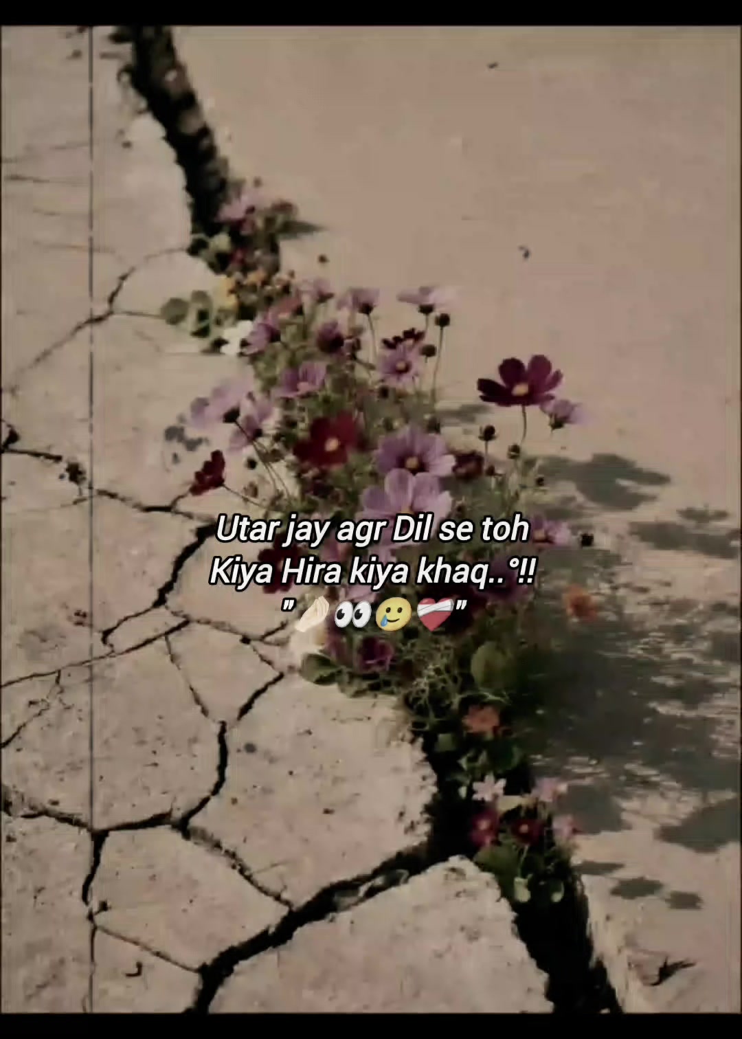 @°°♥𝒁𝒂𝒓𝒐𝒐𝒋𝒖𝒕𝒕𝒊🔥🔪