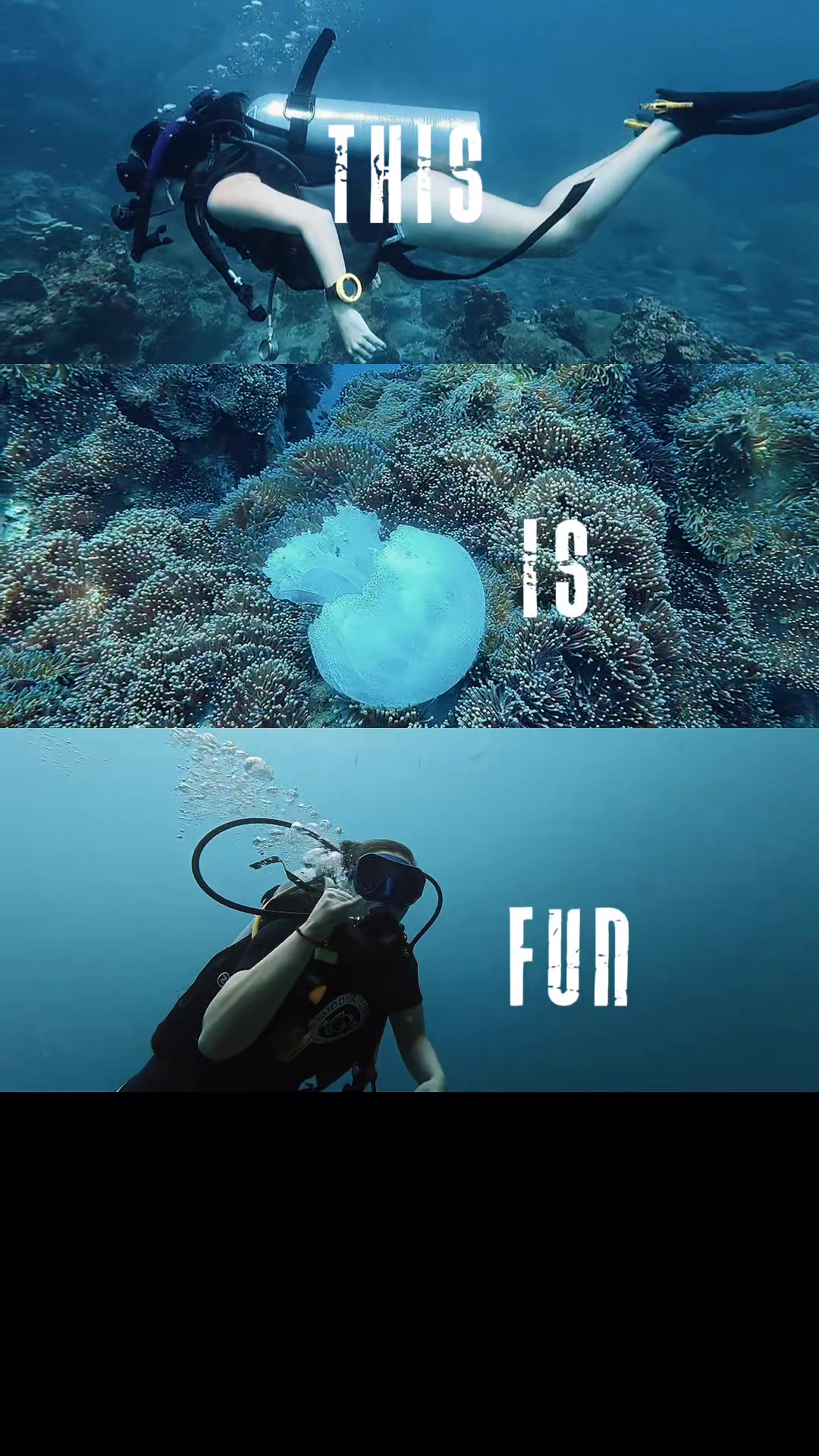 @Buddha View Dive Centre