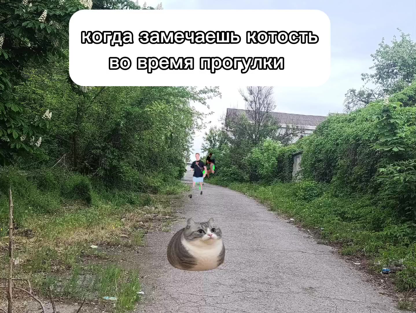 @ᴘʟᴜsʜ sᴄʀᴇᴇᴄʜ | ᴏғғɪᴄɪᴀʟ