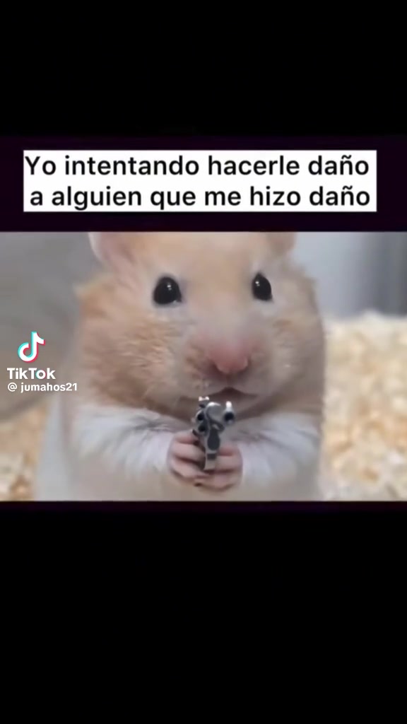 @ingri22saenz