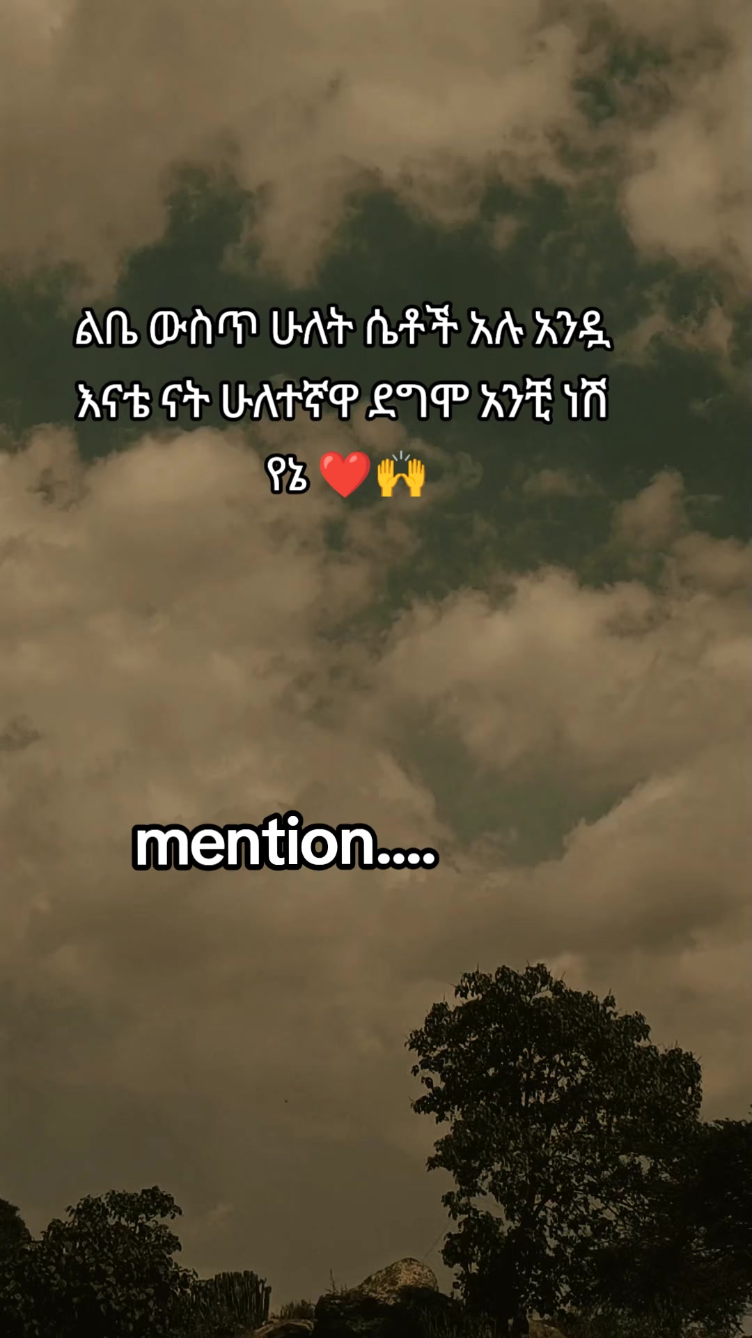 @โจ TEMU Quotes