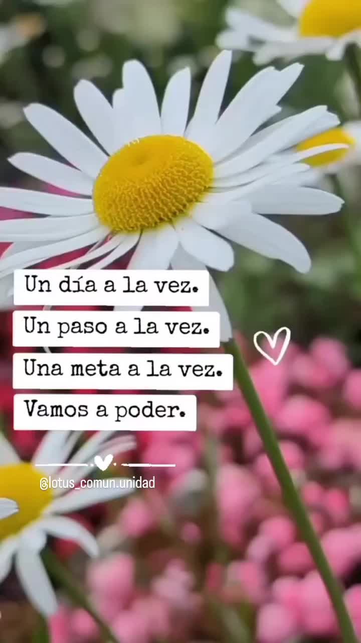 @CuTuta_Grace
