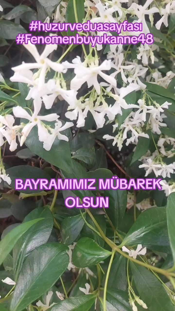 @Fenomenbuyukanne48