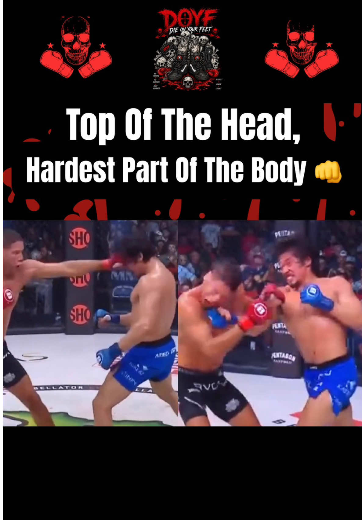 @Die On Your Feet Combat Sports