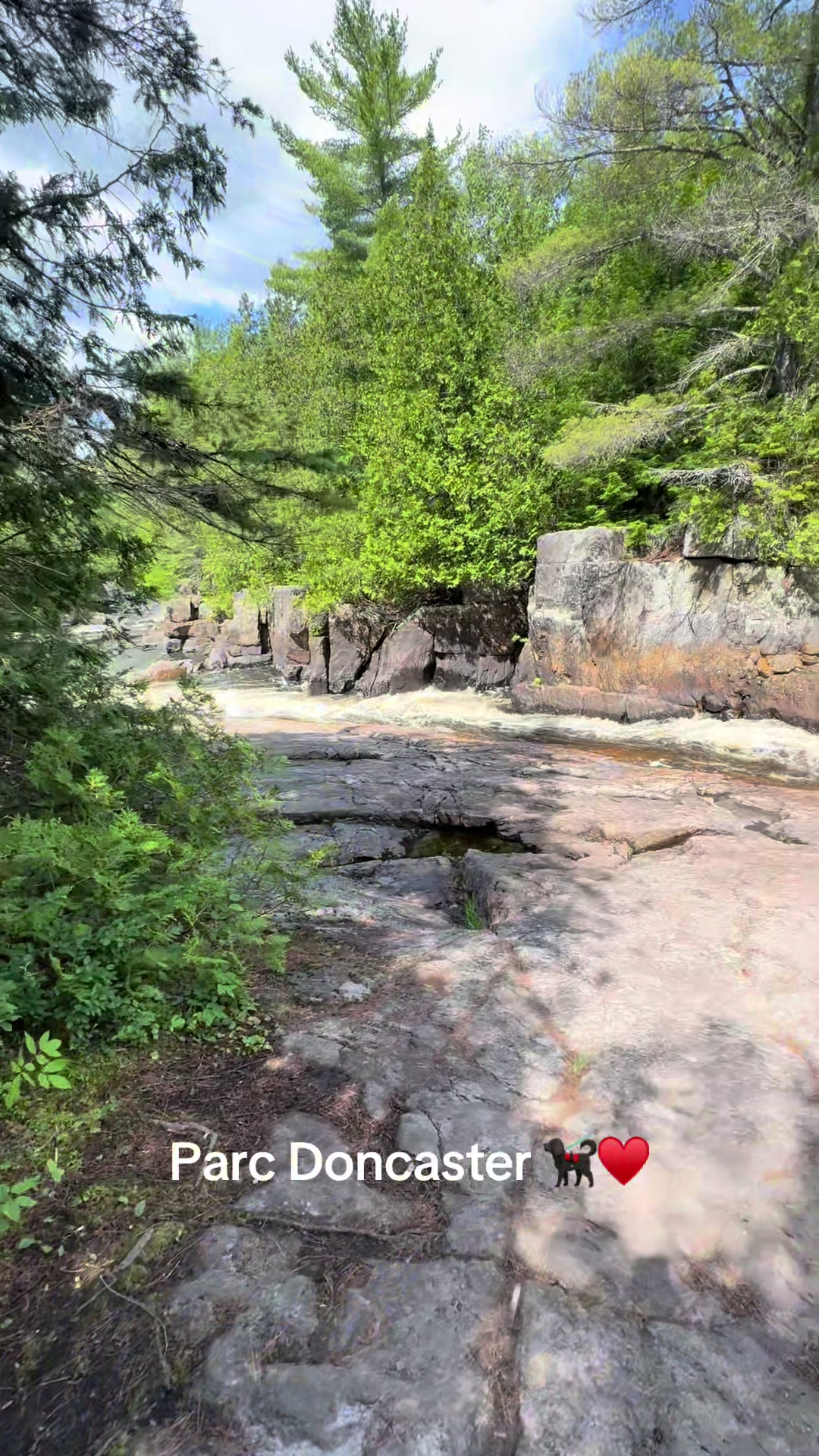 @Stéph_Mika ☀️🐕🦺🏔️🚍