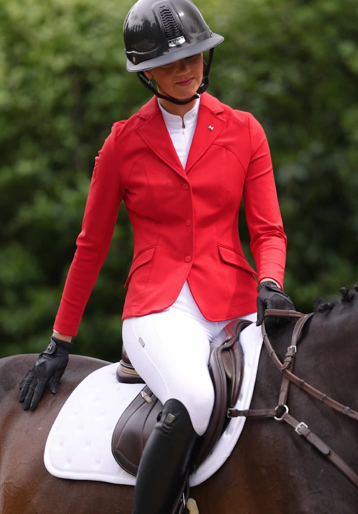 @Maximilian Equestrian