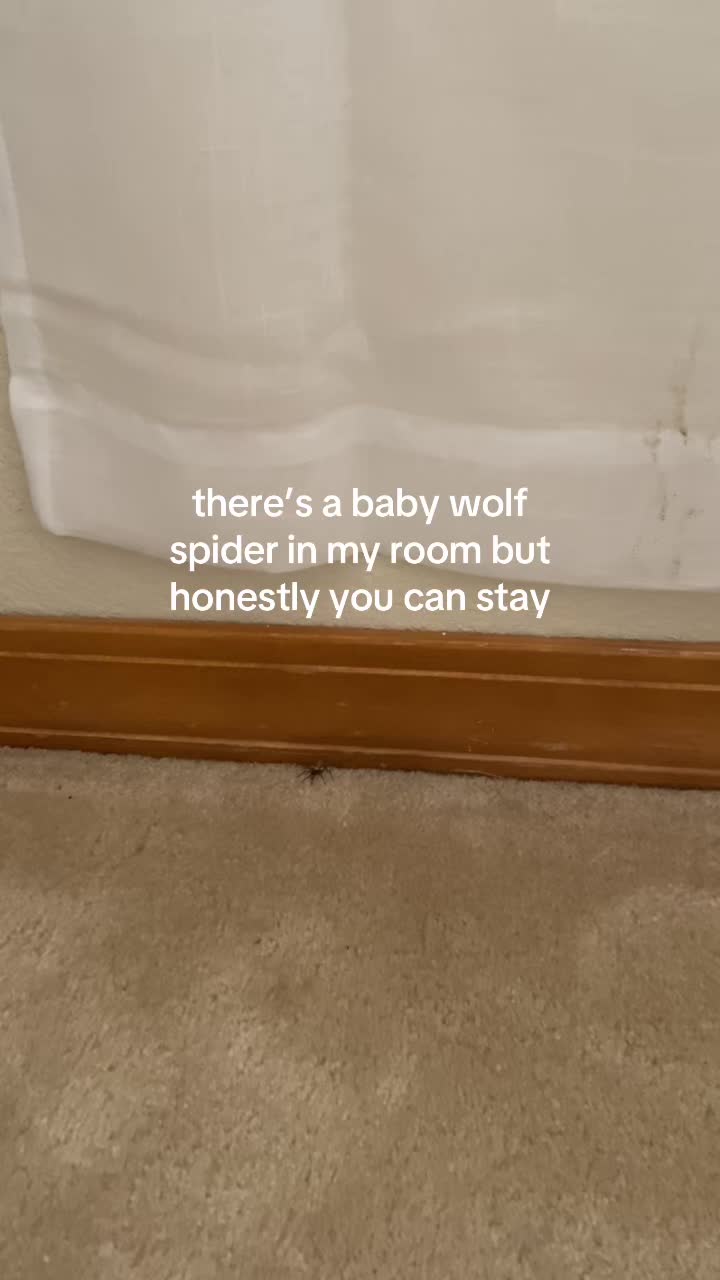 @Holly Jean