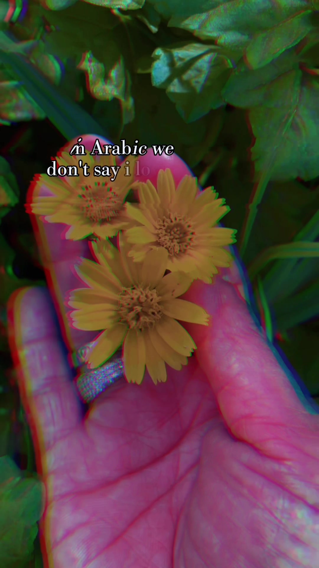 @💜𝓡𝓪𝓲𝓷𝔂𝓵𝓪𝓮𝓻💃
