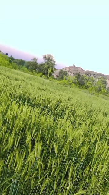 @abuzarkhn