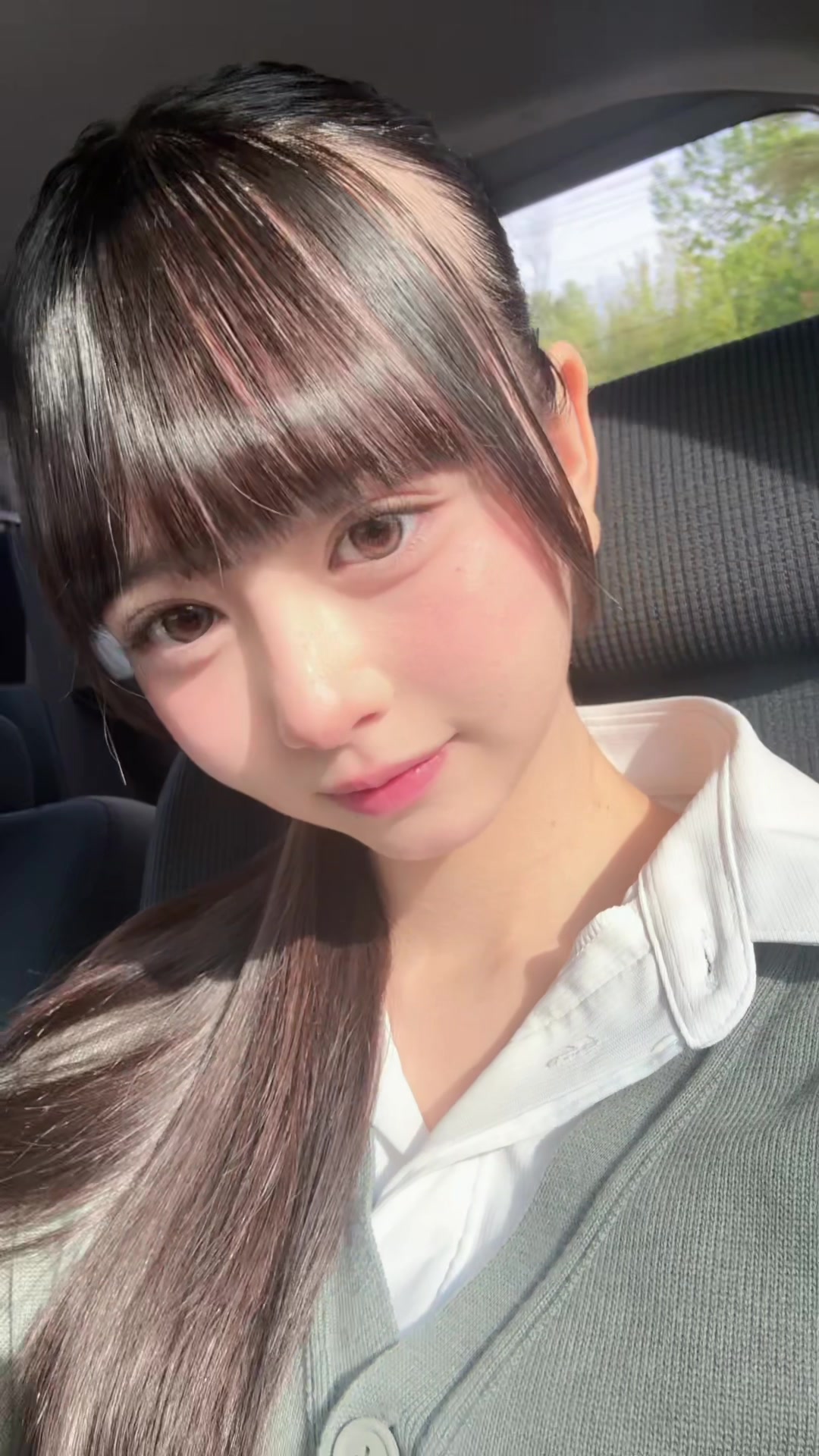 @西条茉莉花