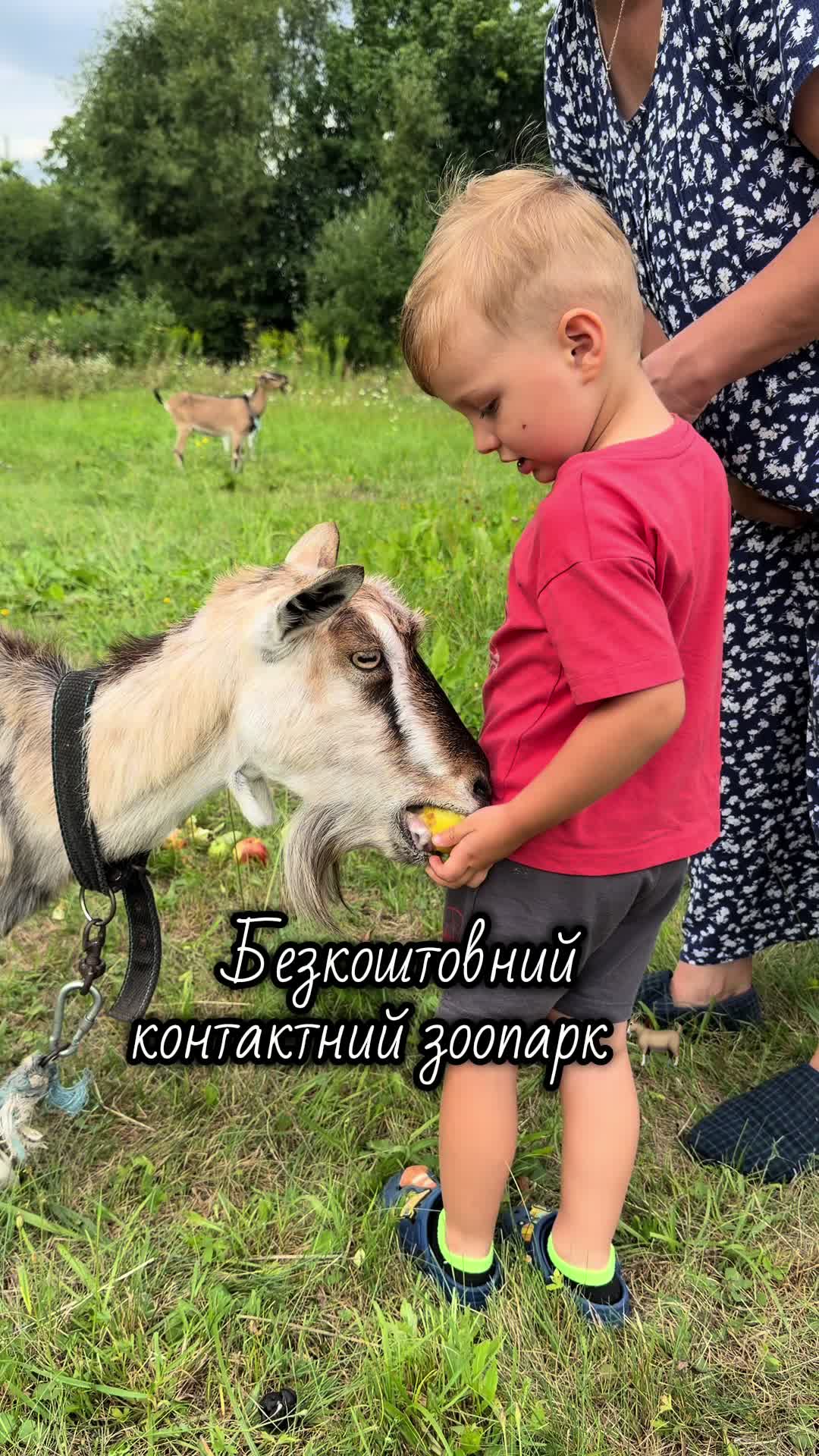 @Саша в квадраті 🧑🧒 UGC