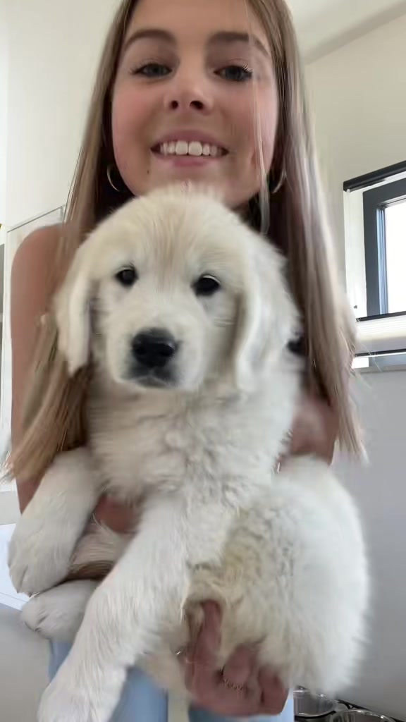 @𝐁𝐞𝐧𝐭𝐞