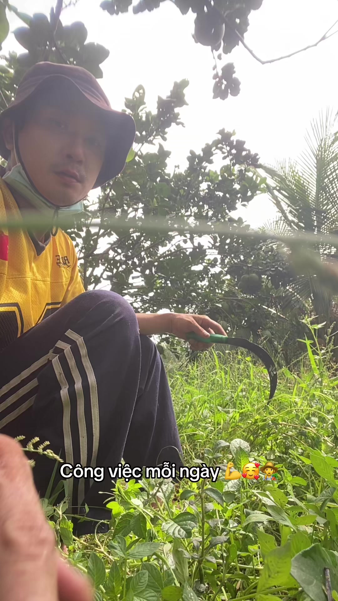 @Trần Công Bình👨🌾👨🌾👨🌾