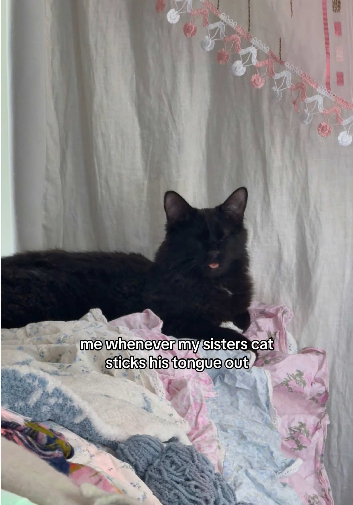 @Emma Hermanson