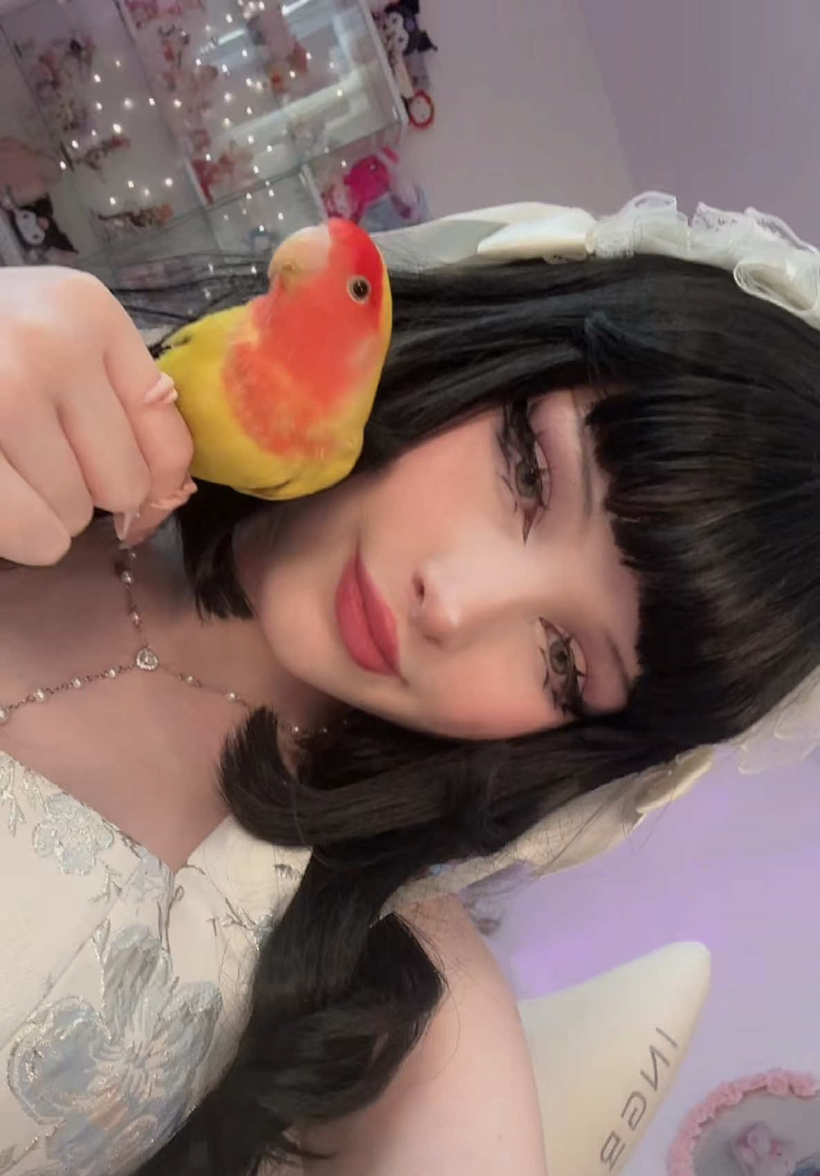 @⋆౨ৎ˚ Banni ⟡˖ ࣪