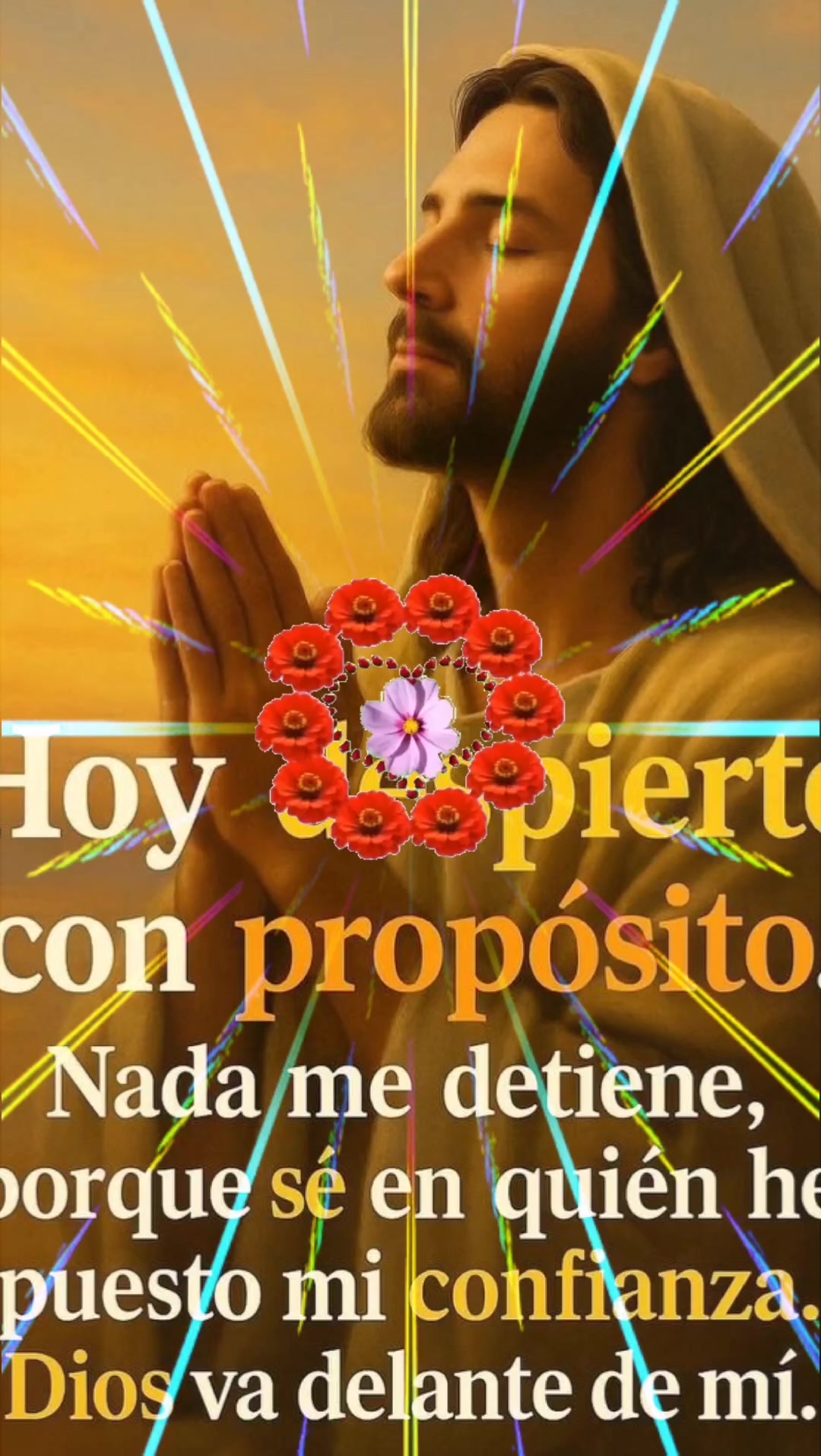 @Cinthia