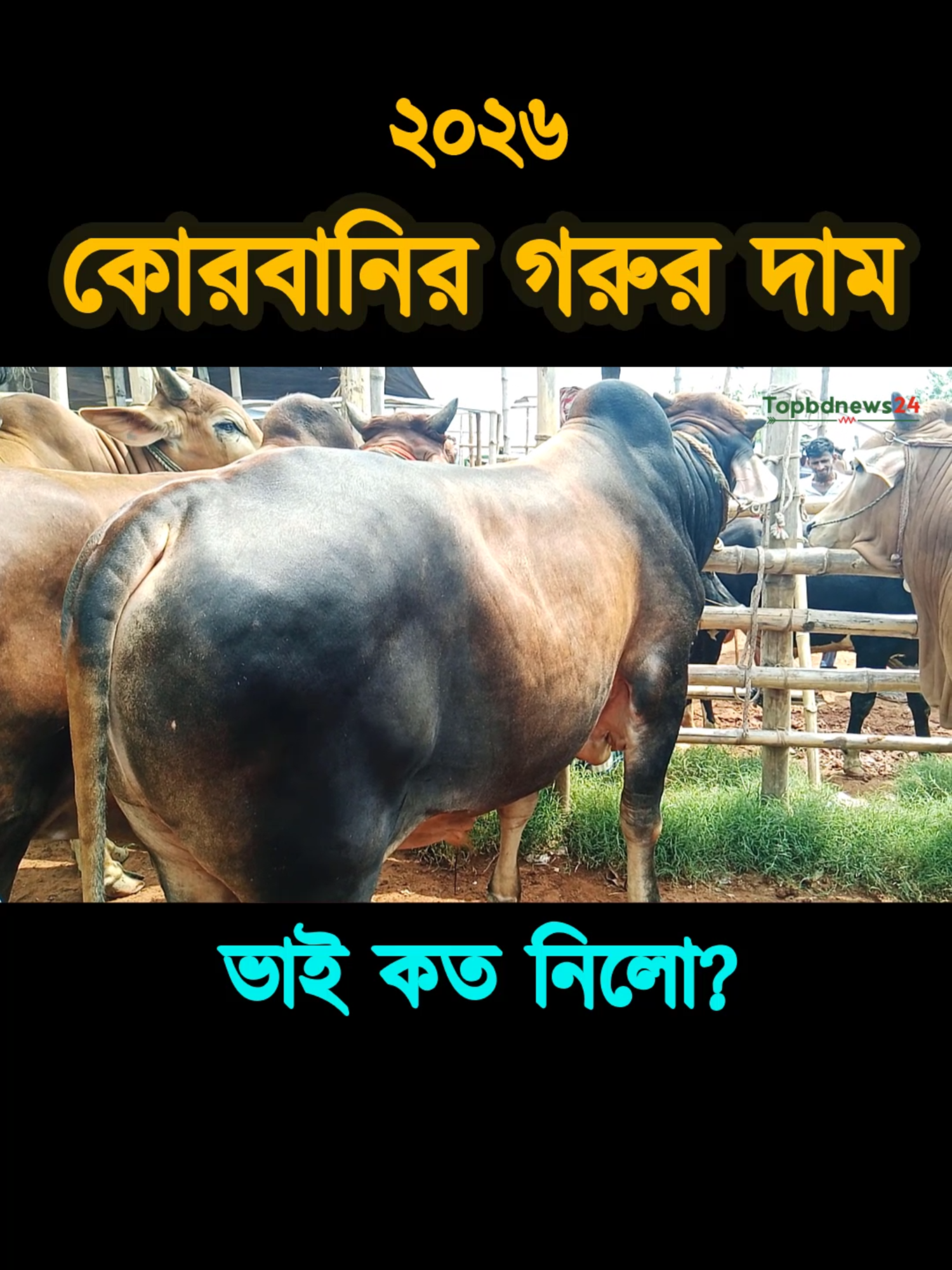 @Nayeem Islam