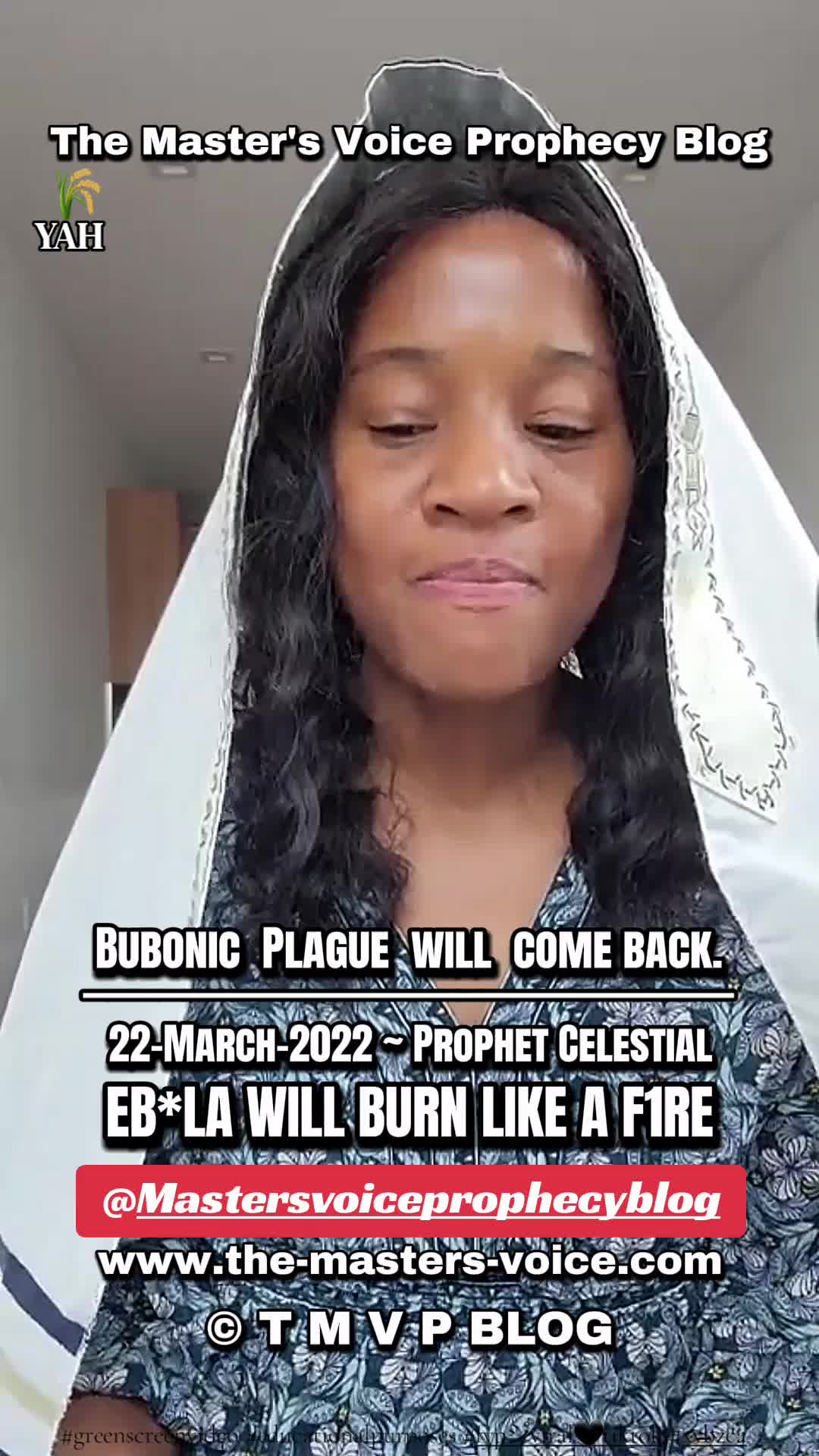 @TheMeesterStemProfetieFruit