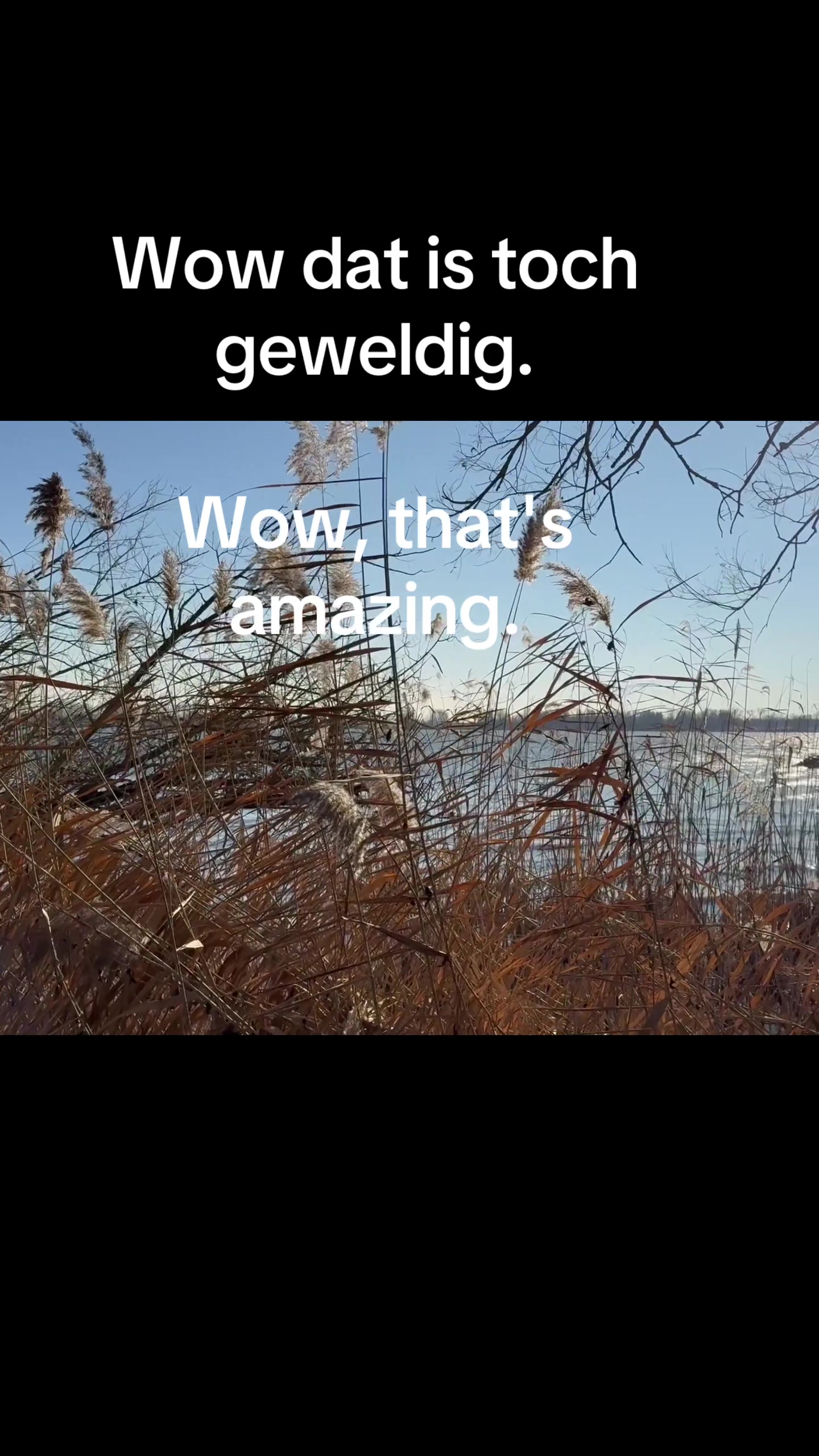 @op_reis_met_jezus