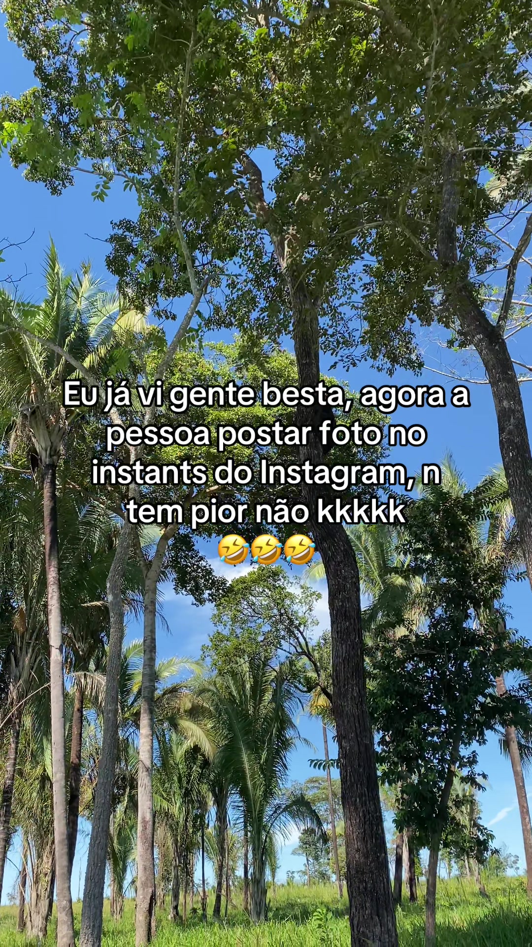 @central_dasfrases