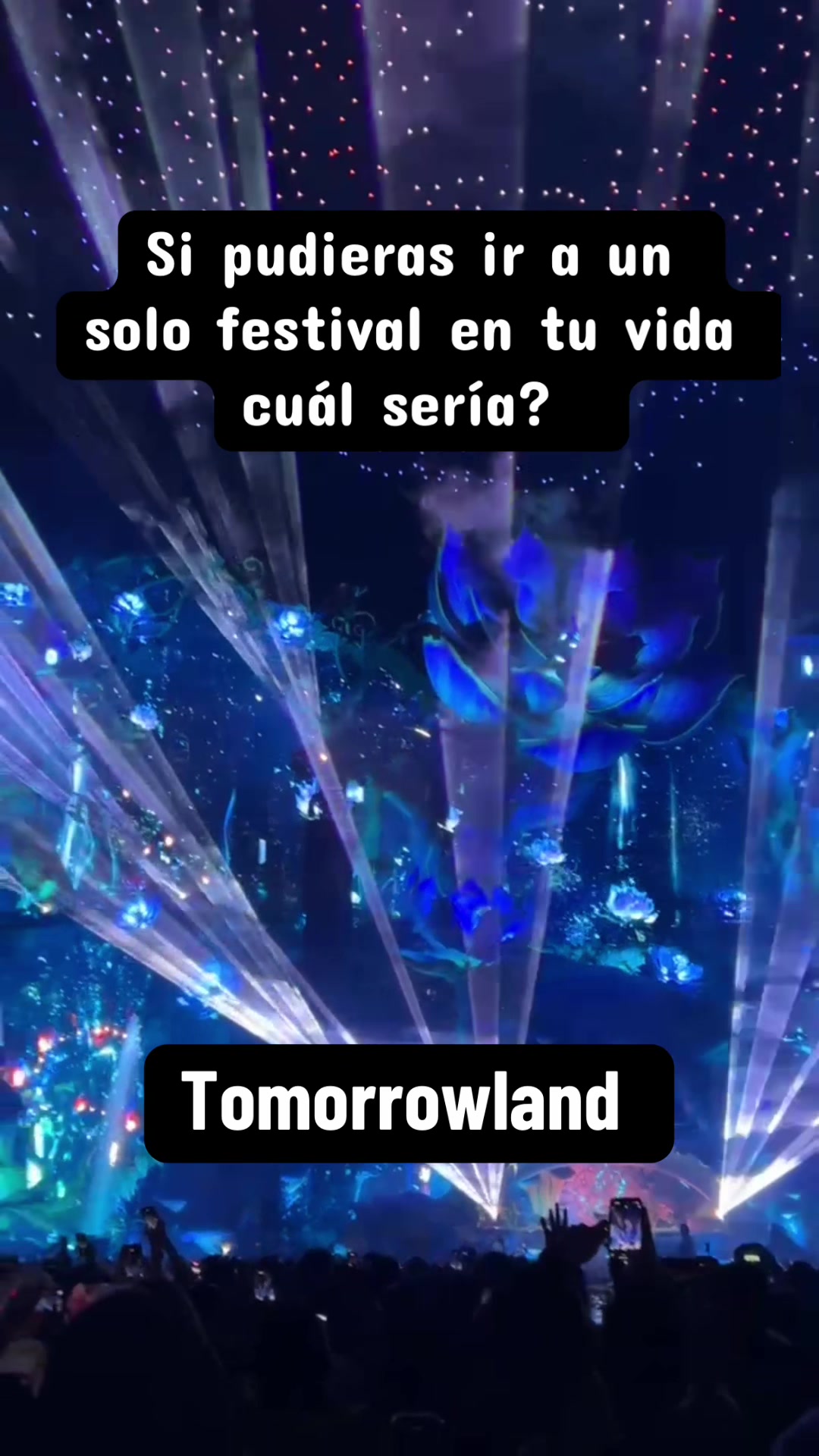@Lalo Araujo