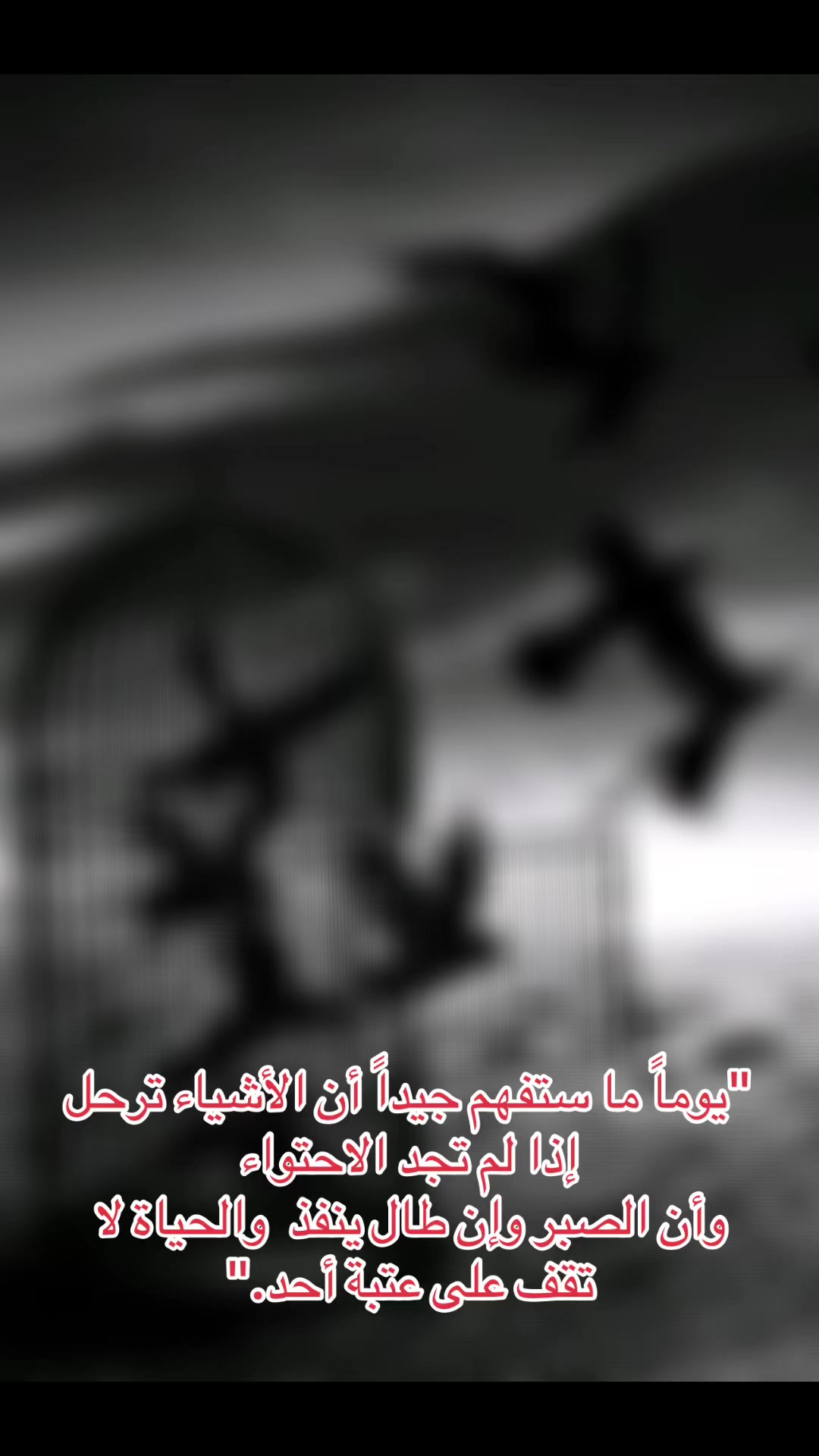@زهـ♥̨̥̬̩رة نيسآإن