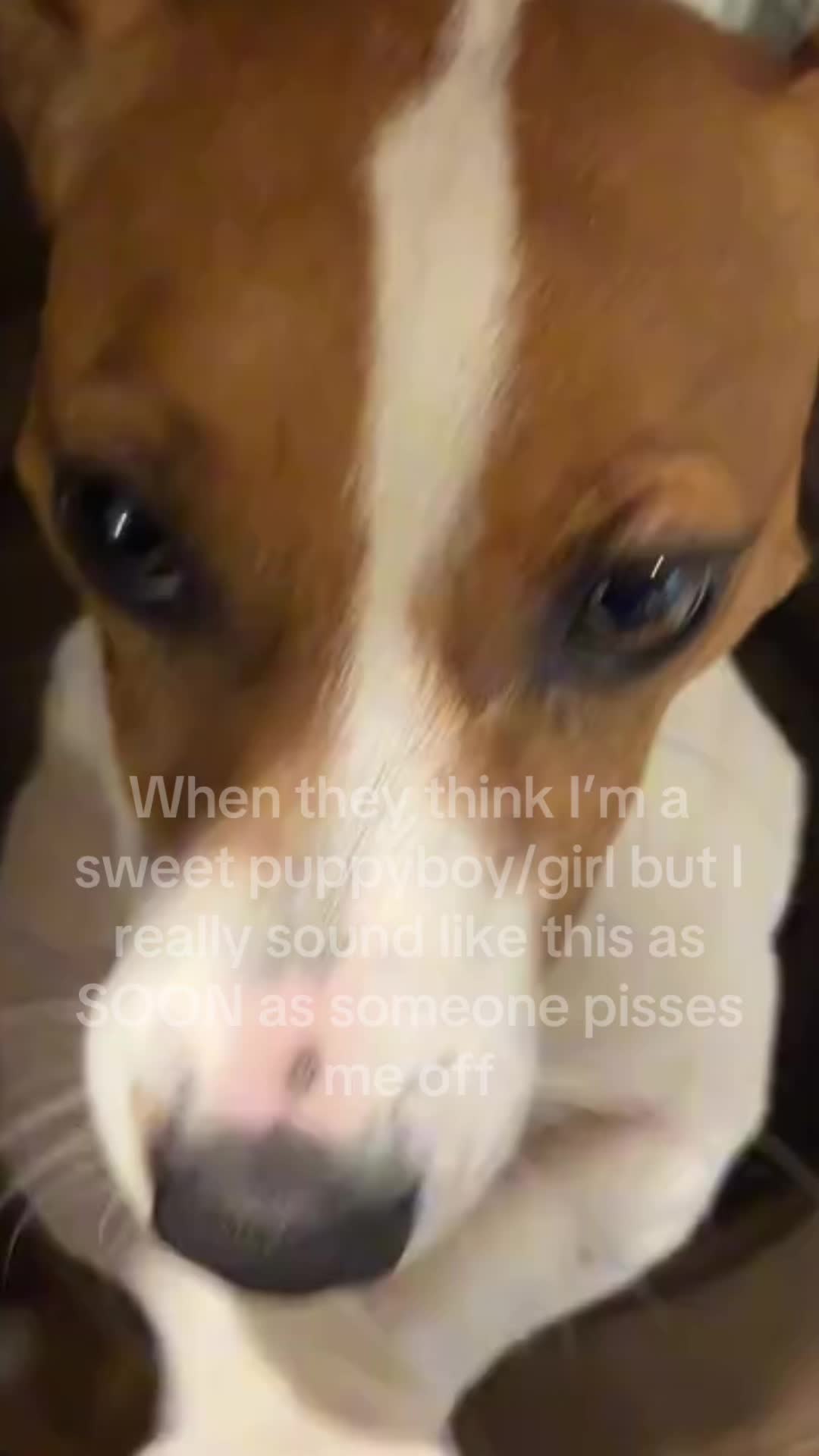 @mimi🐾