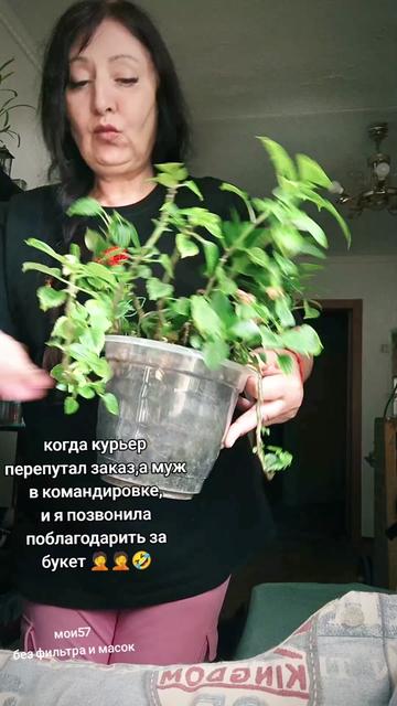 @Lada_Ladmira