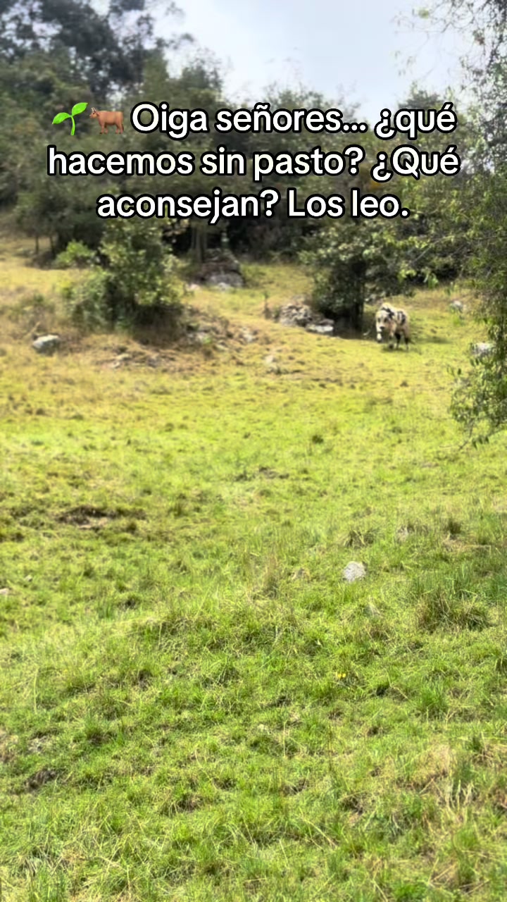 @MiGanado-Boyacá