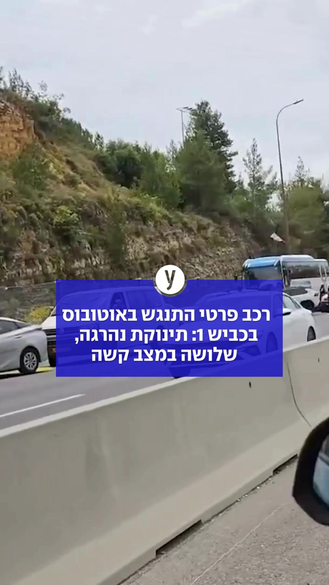@ynet