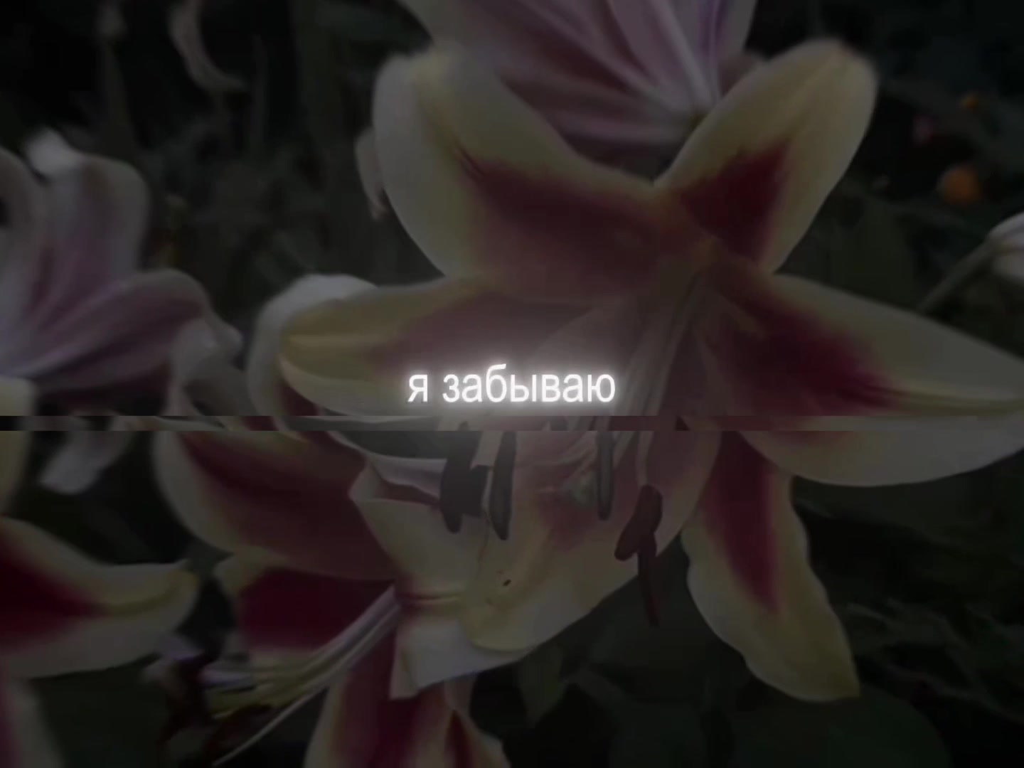 @звуки для липсингов