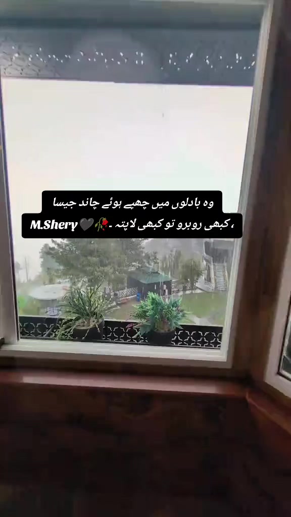 @Shery46