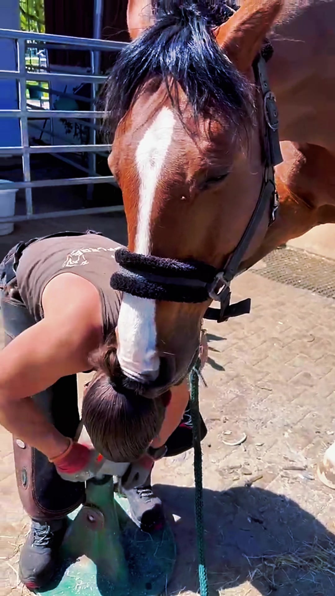 @Julian 🐴