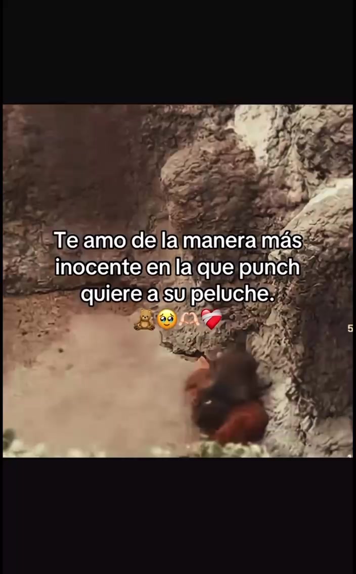 @yancyvelasquez5🇸🇻💯🫶🏻