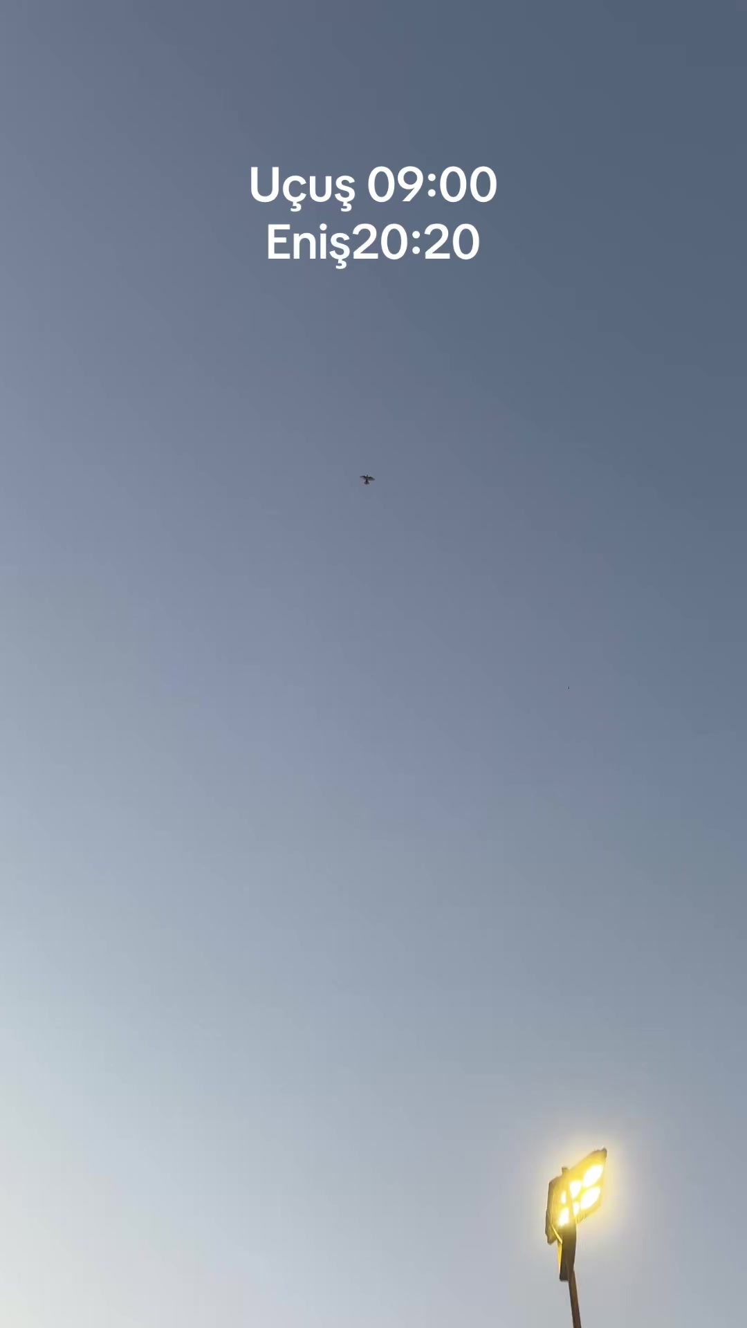 @Kamal_Agayev