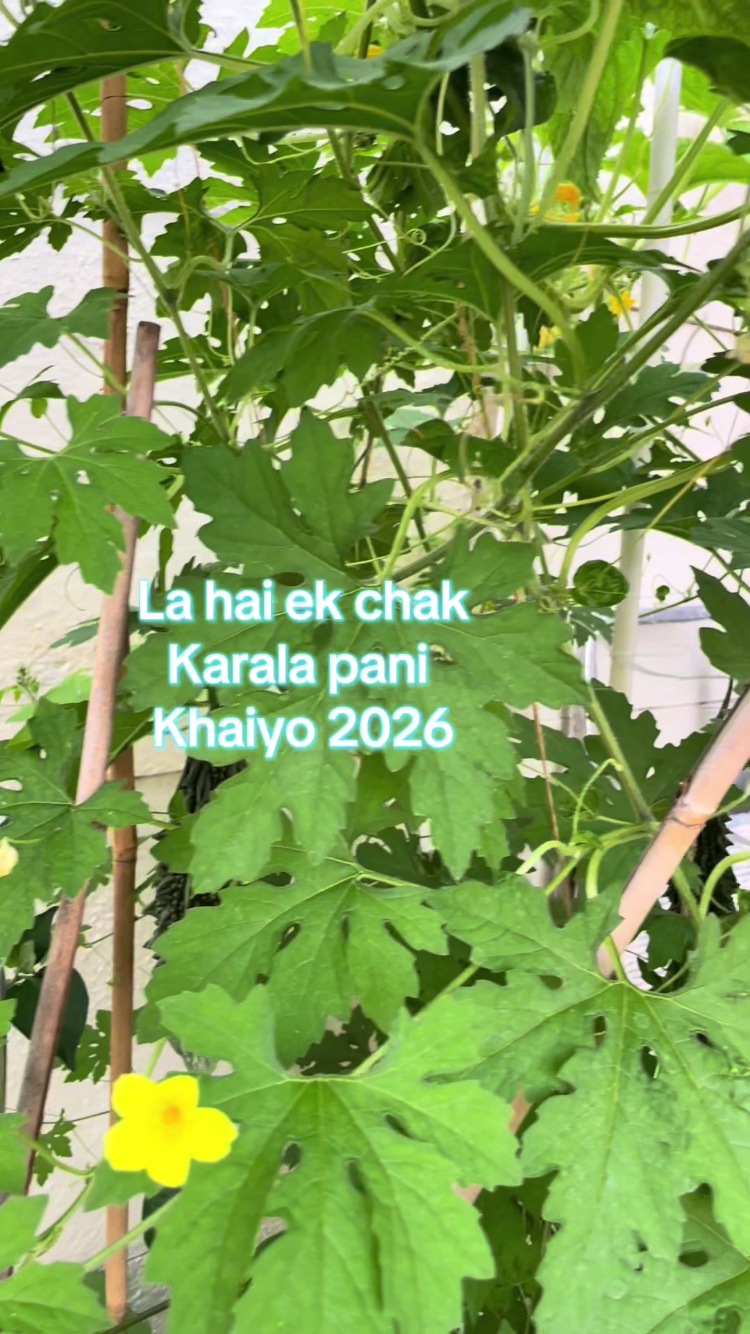 @SP