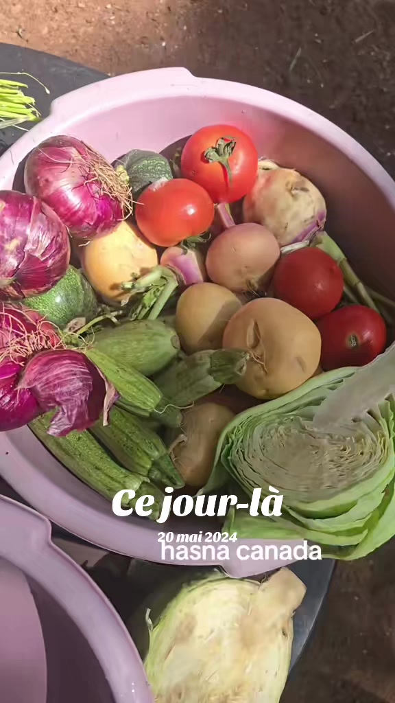 @مغربية 🇲🇦 👑في كندا 🇨🇦