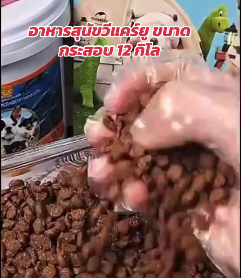 @luxsiriwan21
