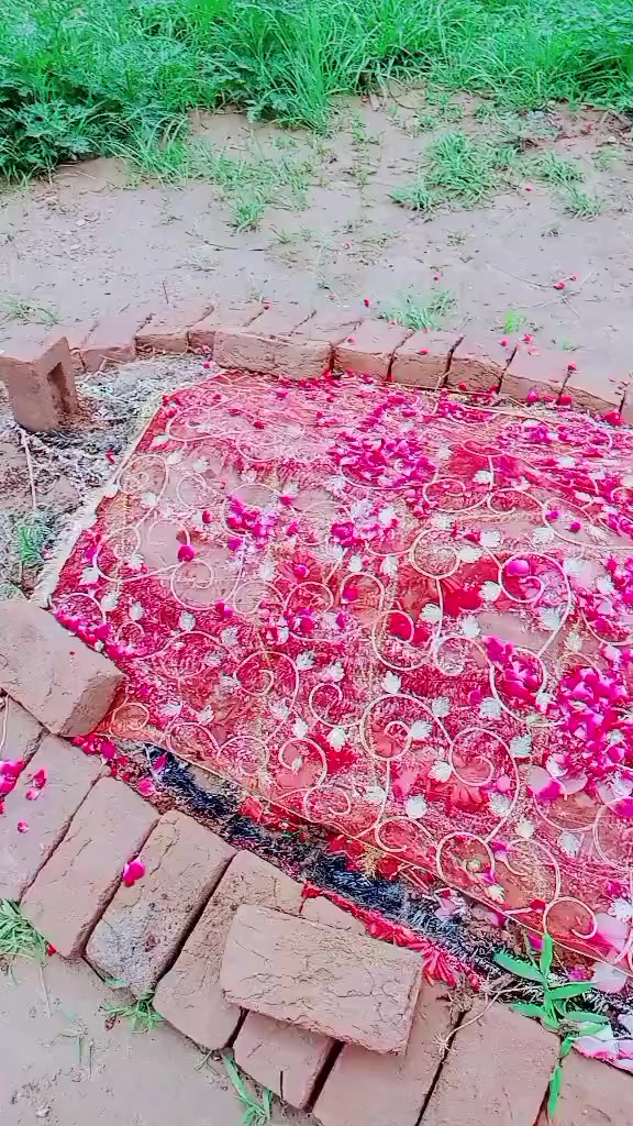 @Mughal 550