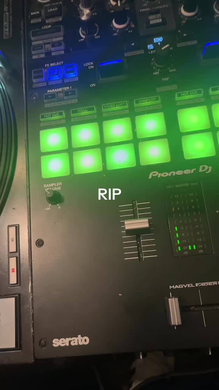 @The Vinylist