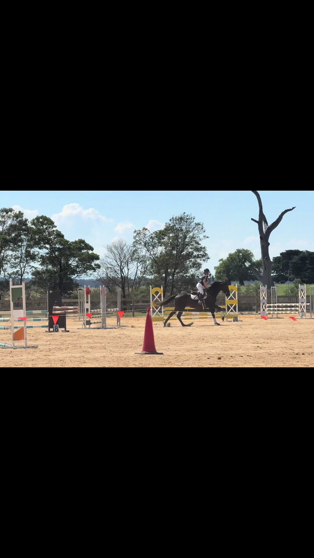 @skye.oequestrian38