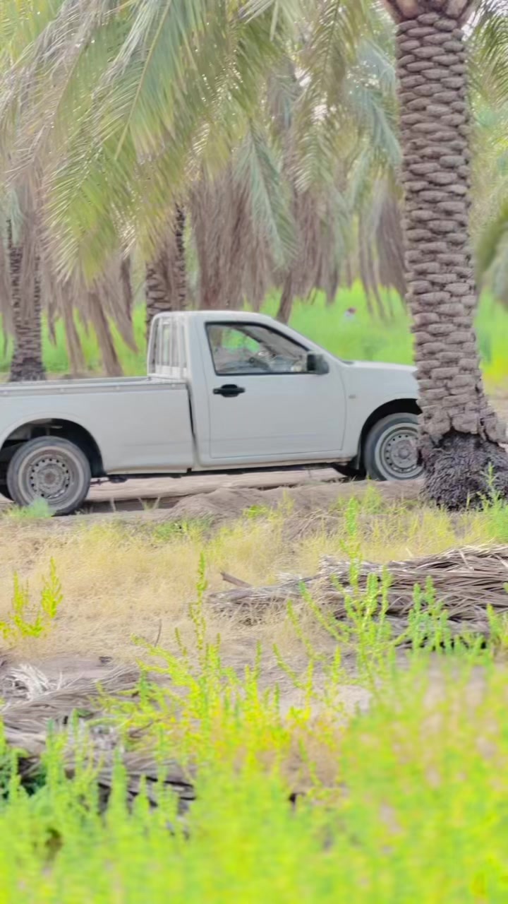 @سردار جیدی جندانی