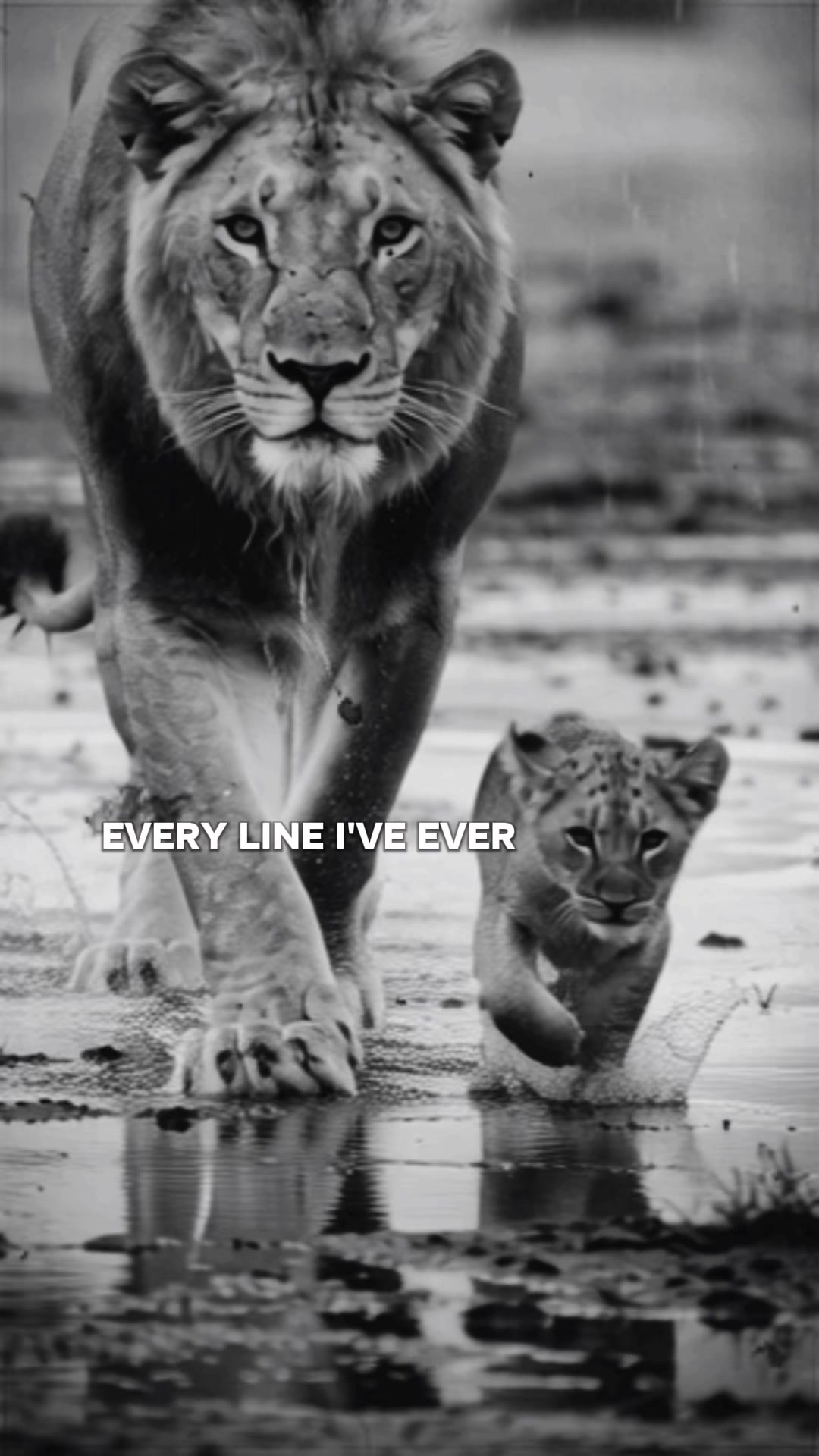 @Lion@Mind
