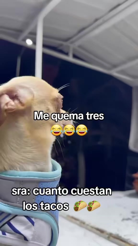 @Maria Minerva Sarabi