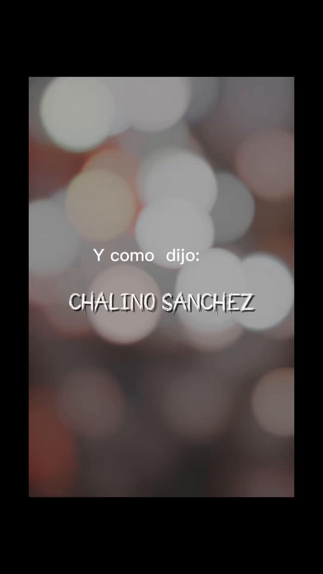 @soyXol888