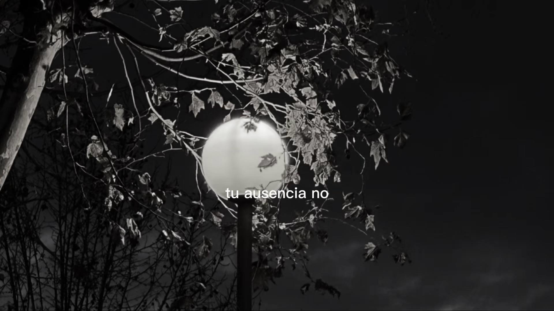 @Luna Gonzalez