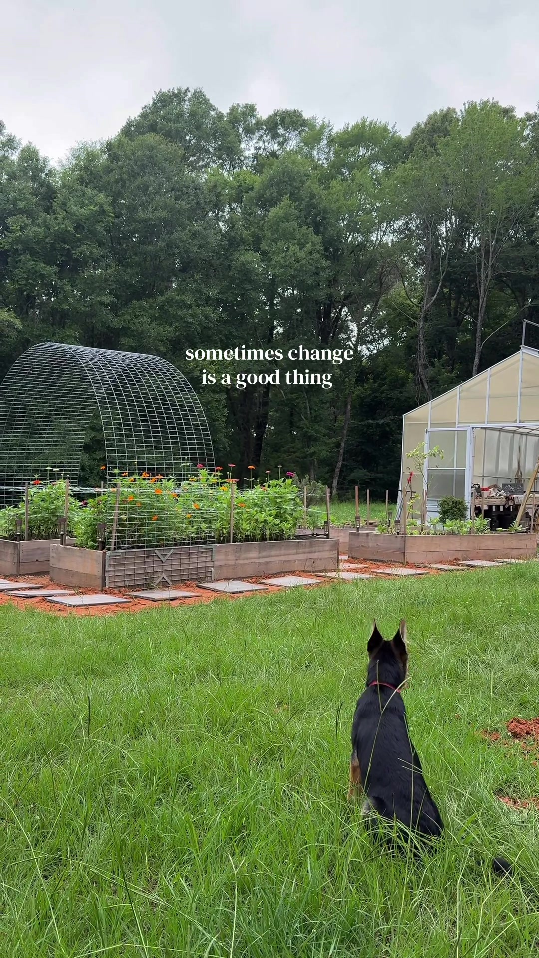 @Field & Forest