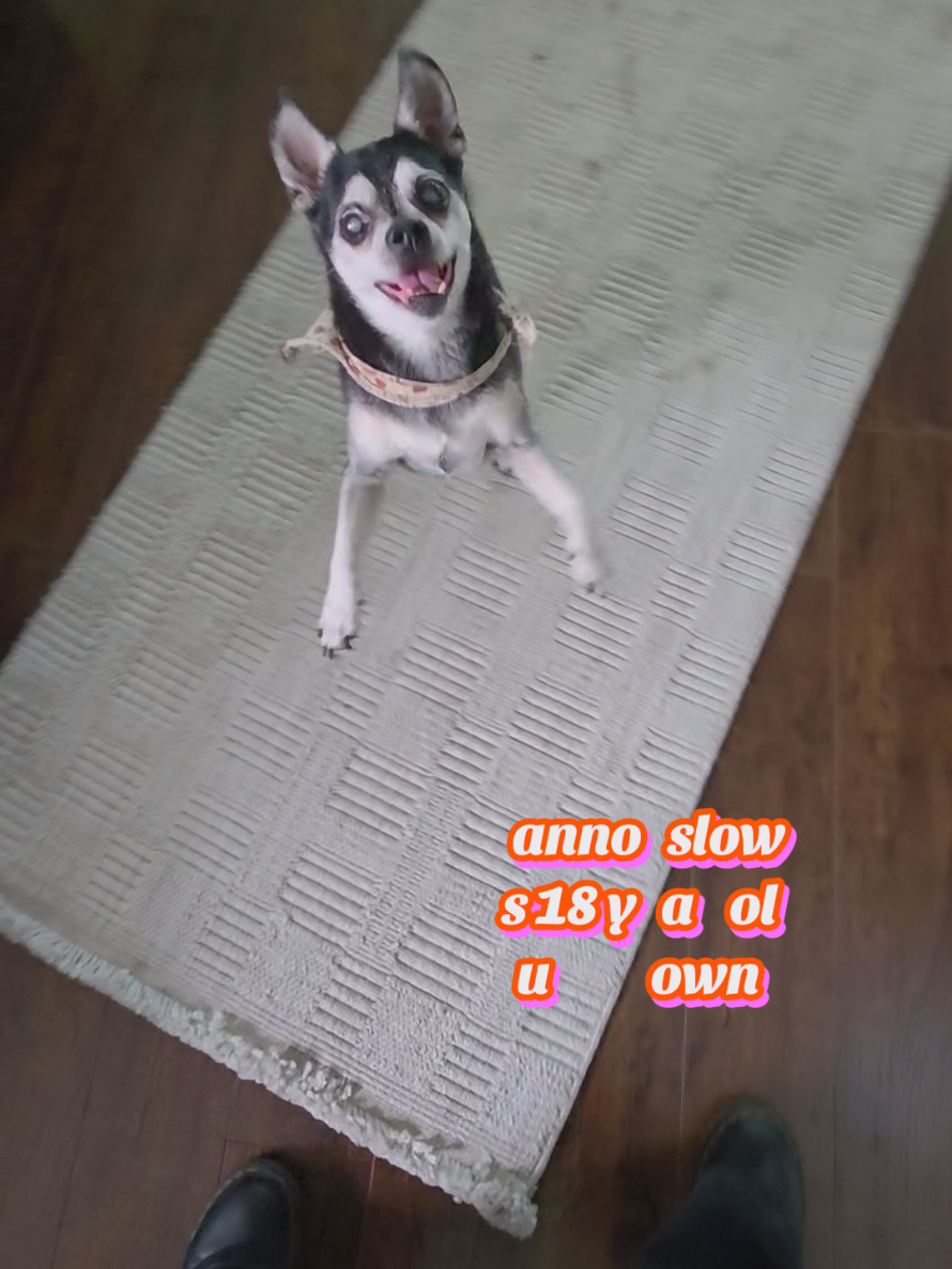 @𝕾𝖙𝖊𝖕𝖍𝖆𝖓𝖎𝖊